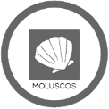 
mol·luscos