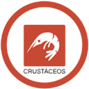 crustacis